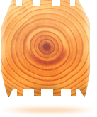 Из профилированного бруса